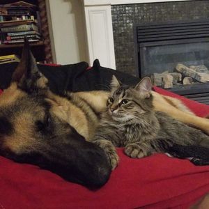 Meet your Posher, Kay